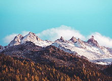 星空体育赛事-开云官方——引领奢华时尚新体验